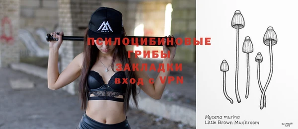 a pvp Баксан