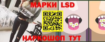 амф Камышлов