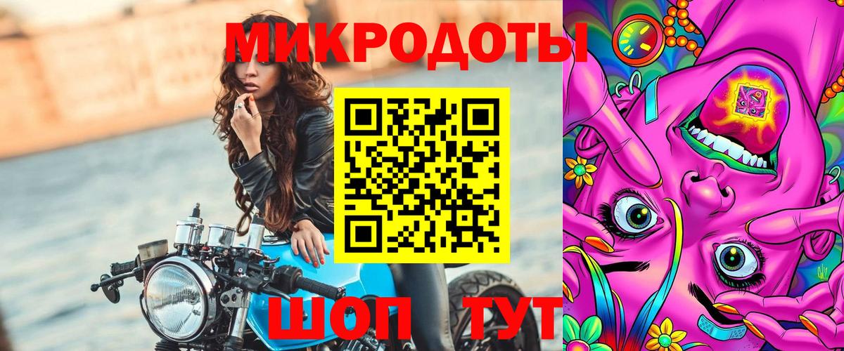 Псилоцибиновые грибы Psilocybe  Вход с VPN  Нерюнгри 
